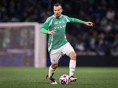 (מאור אלקסלסי)