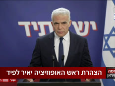 20lapidd_vtr2_20260326_v1 (צילום: חדשות)