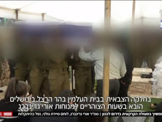 20lebanon_vtr2_20260326_v1 (צילום: חדשות)