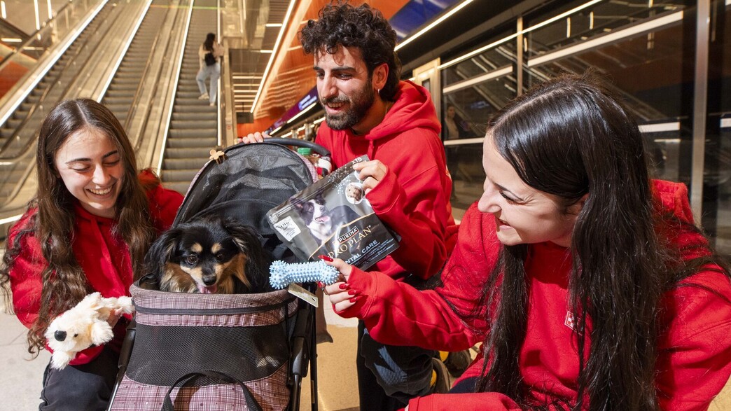 מי דואג לחברים על ארבע במקלטים?