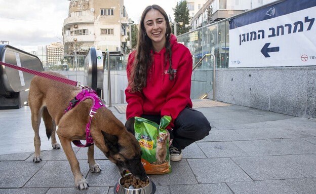 צוות הסיוע של Purina במרחב המוגן צוות הסיוע של Purina במרחב המוגן
