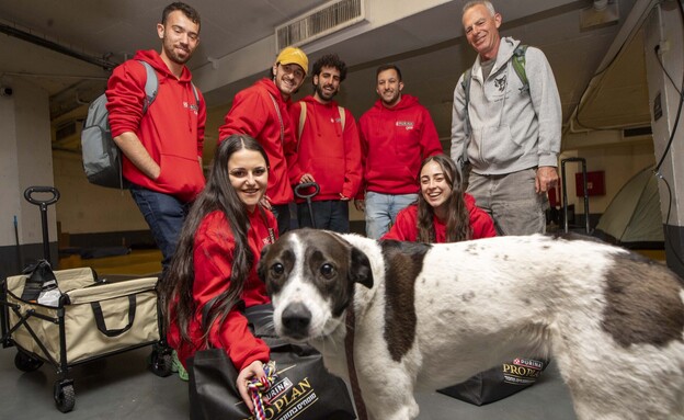 צוות הסיוע של Purina במרחב המוגן צוות הסיוע של Purina במרחב המוגן