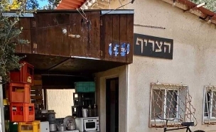 קרמזינה (צילום: עודד צביקל)