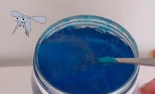 בלוגריות ניקיון (צילום: אינסטגרם)