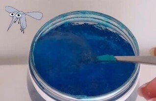 בלוגריות ניקיון (צילום: אינסטגרם)