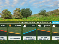 umezeg_vtr2_n20260327_v1 (צילום: חדשות)