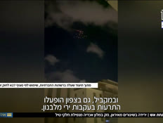 usharonknoblichvtr_vtr2_n20260327_v1 (צילום: חדשות)