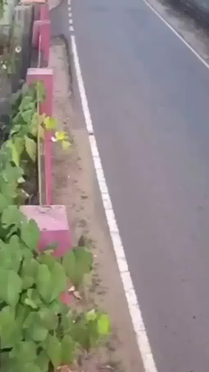 חושבים שעבר עליכם בוקר גרוע? חכו שתראו מה קרה לו