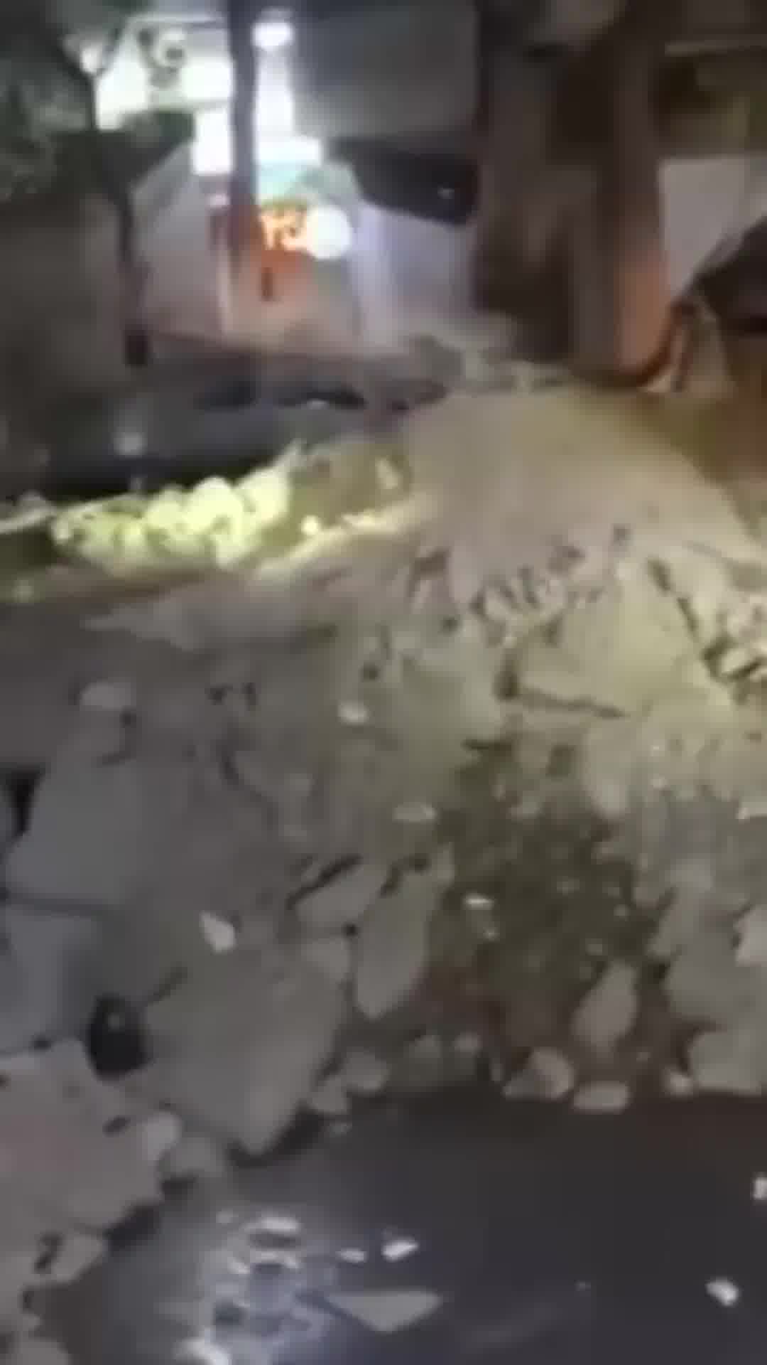 דיווח: צה"ל חיסל הערב בטהרן בכיר בתכנית הגרעין באיראן