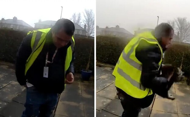 השליח והחתולה נורה