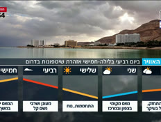 s20mezeg_vtr2_n20260328_v1 (צילום: חדשות)