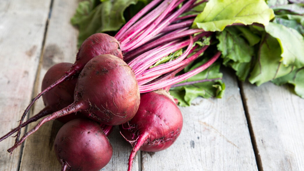 שיסתלקו אויבינו: כך תגדלו סלק בעציץ בקלות