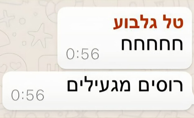 התכתבויות בעייתיות של דוברת רה"מ המיועדת טל גלבוע התכתבויות בעייתיות של דוברת רה"מ המיועדת טל גלבוע