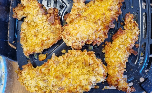 השניצלים. מעטים אך מוצלחים השניצלים. מעטים אך מוצלחים