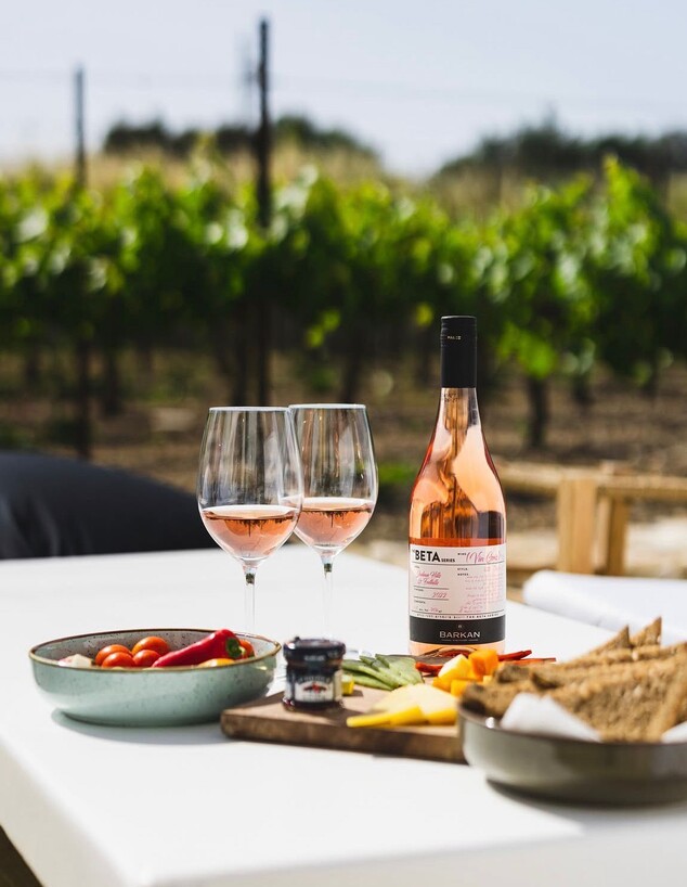 מרכז המבקרים של יקב ברקן מרכז המבקרים של יקב ברקן