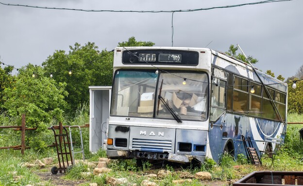 תמונות שצולמו בשיאומי 17 אולטרה תמונות שצולמו בשיאומי 17 אולטרה
