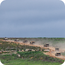 אחד ביום - 31.03.2026 (צילום: Reuters)