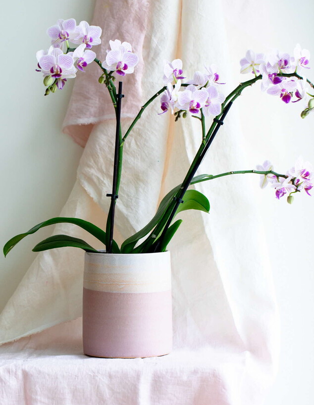 חגית איזנברג חגית איזנברג