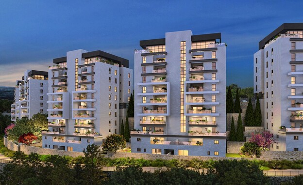 פרויקט אפי בהר יונה