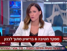 20dorisaar_vtr2_n20260331_v1 (צילום: חדשות)
