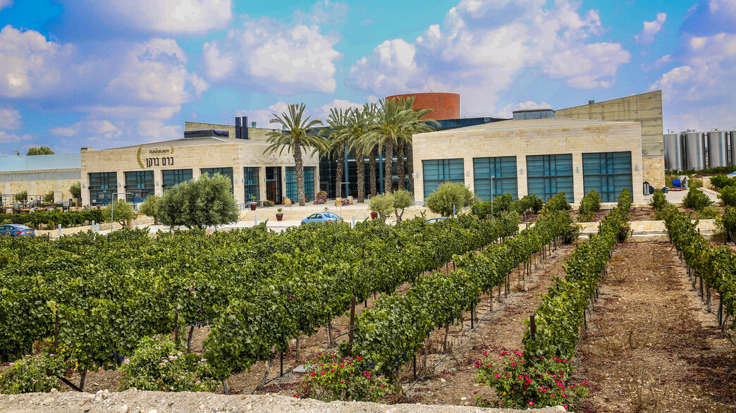 מתנה לחג: יקבים מומלצים - שיש בהם מרחב מוגן