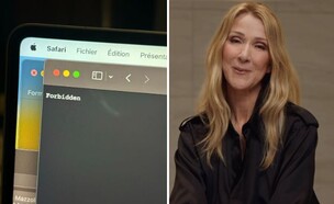 סלין דיון (צילום: Instagram, X)