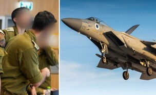 צב (צילום: דובר צה"ל)