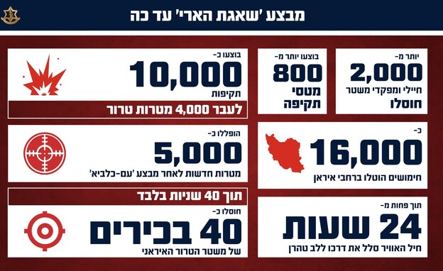 נתוני צה"ל במבצע 'שאגת הארי' עד כה