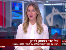 20ofiicerlebanon_vtr2_n20260401_v1 (צילום: חדשות)