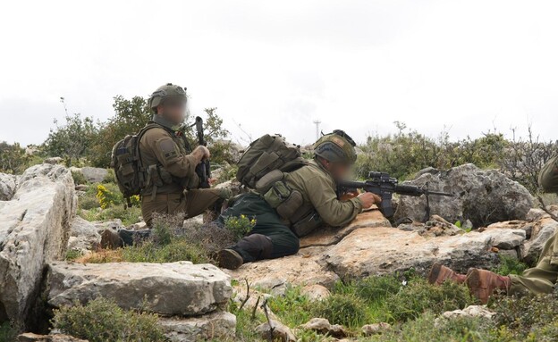 פעילות כוחות חטיבה 226 פעילות כוחות חטיבה 226