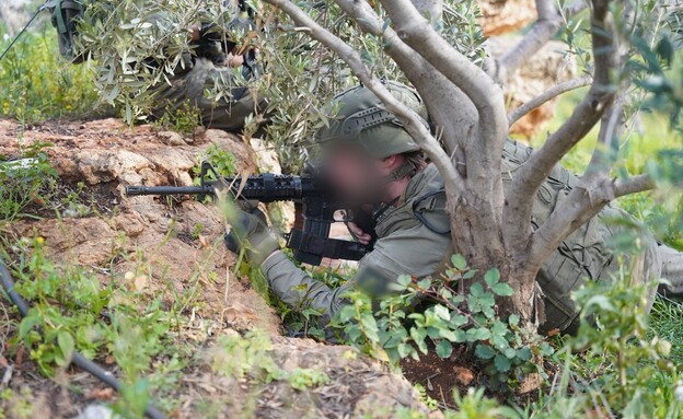 פעילות כוחות צה"ל בדרום לבנון
