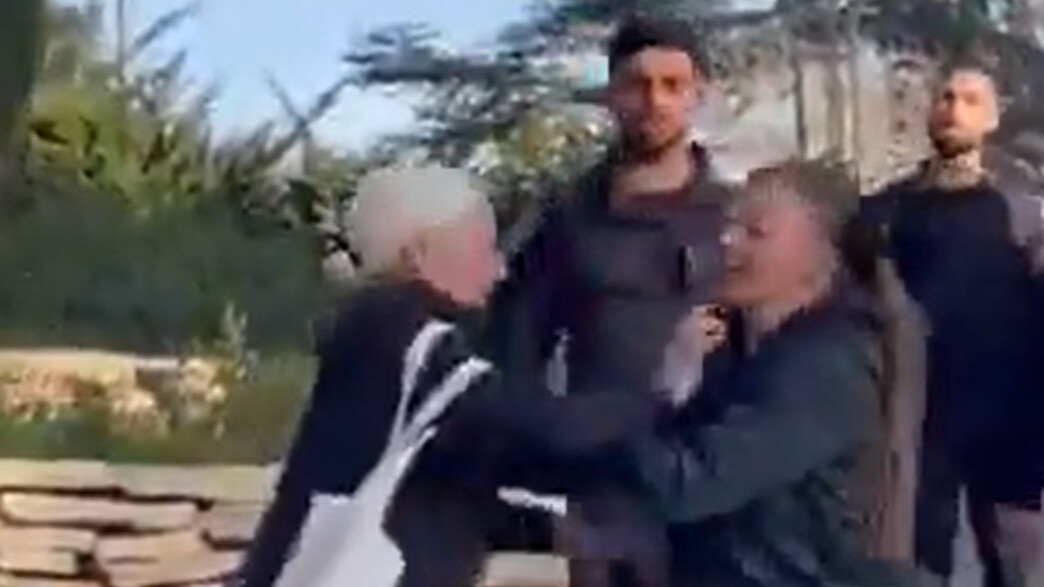 ולנטינה נמץ-מושאילוב קצינת בילוש ממחוז ירושלים דוחפת מפגינה כבת 80