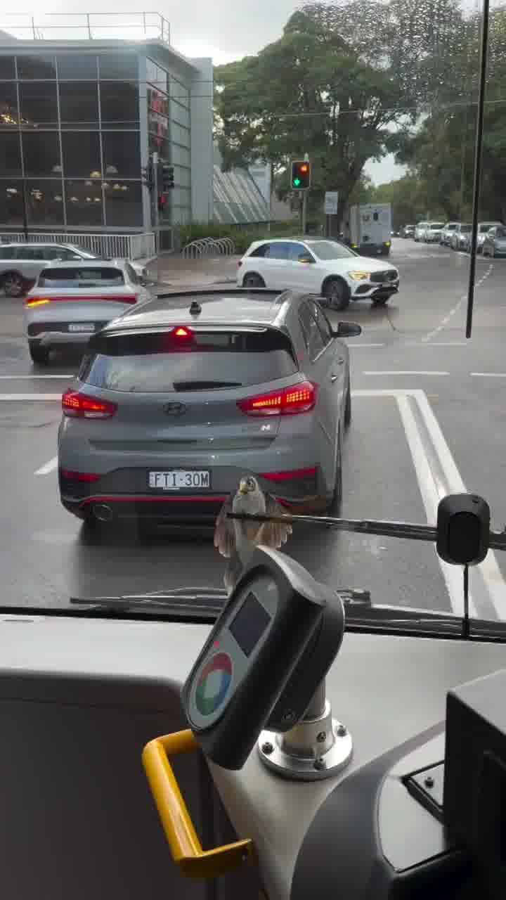 יש החלטות בחיים שגם אם הן רעות, אתה חייב לעמוד מאחוריהן