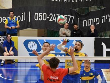 (רינת ורדי, באדיבות מכבי תל אביב) (צילום: ספורט 5)