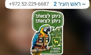 מתוך קבוצת הוואטסאפ של ראש העיר רמת גן (צילום: מתוך קבוצת הוואטסאפ של ראש העיר רמת גן)