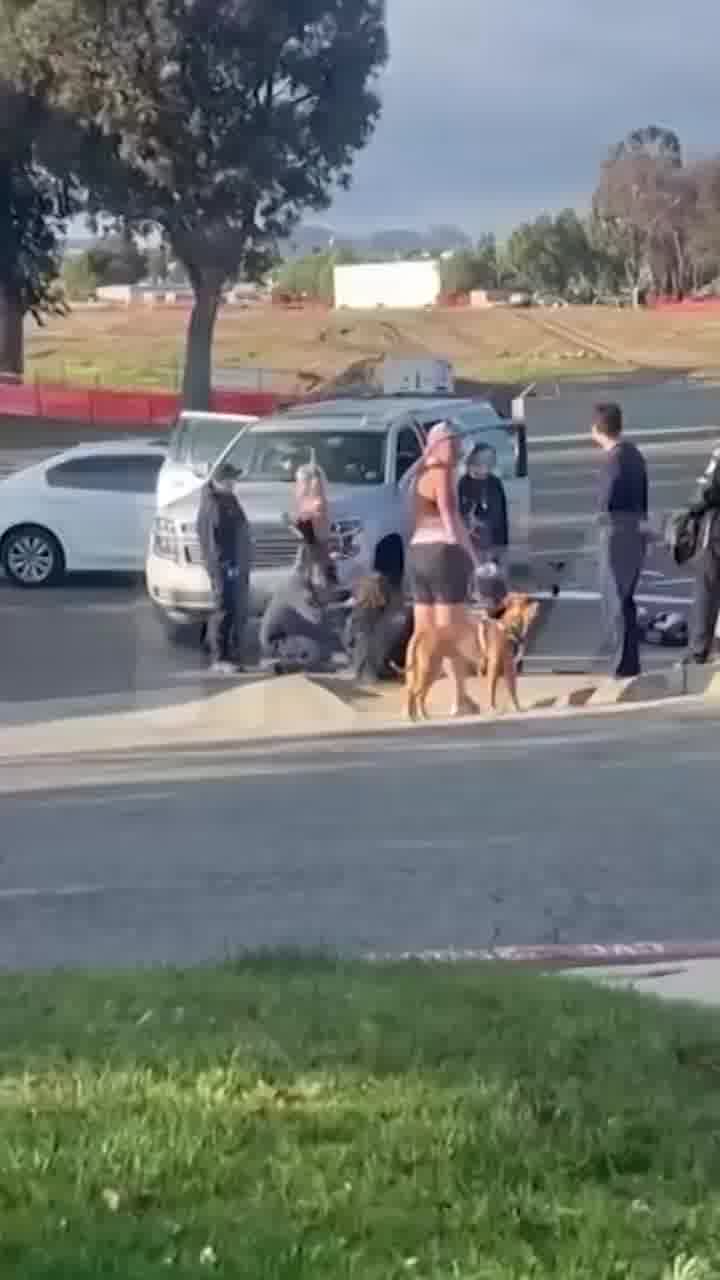 חצה באדום והתנגש בהם: טורי ספלינג וילדיה עברו תאונת דרכים בקליפורניה ופונו לבית החולים