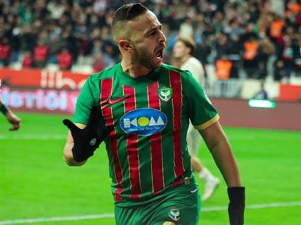 תצוגת ענק. סבע (הרשתות של אמדספור)