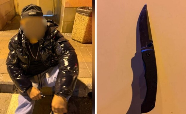 מעצר אלנור אלייב