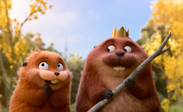 "קופצים בראש" "קופצים בראש"