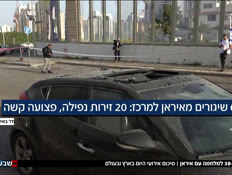 19day_vtr2_n20260406_v1 (צילום: חדשות)
