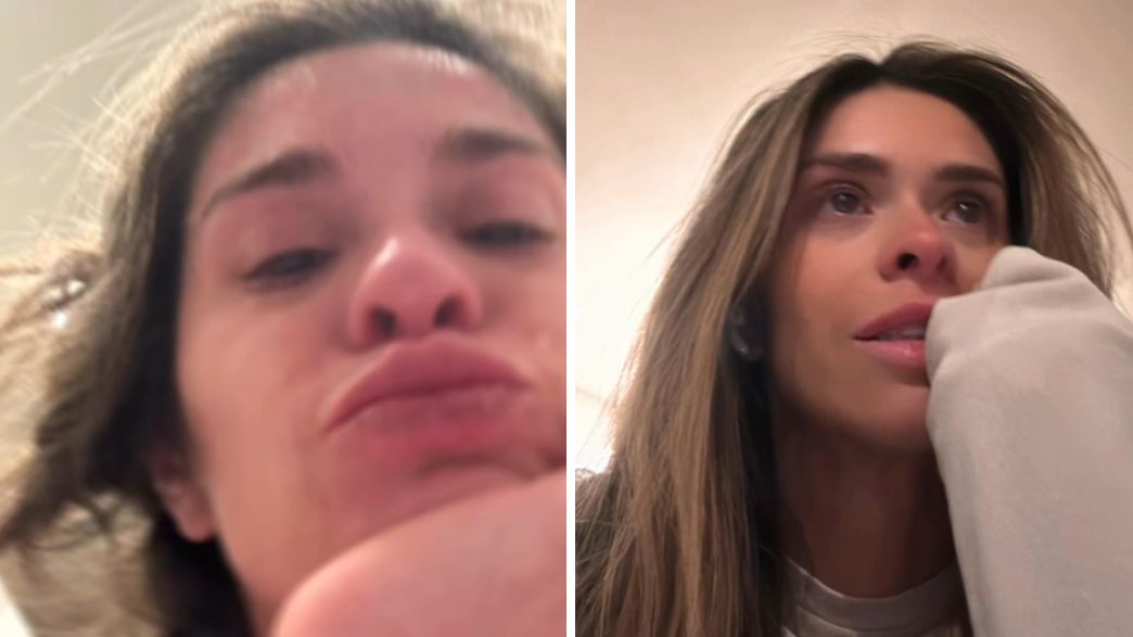 טיילור פרנקי פול טיילור פרנקי פול