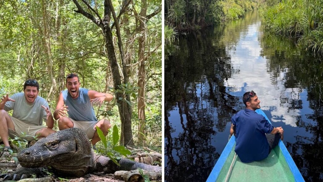 אוהד הנווד באינדונזיה