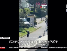 20pigua_vtr2_n20260407_v1 (צילום: חדשות)
