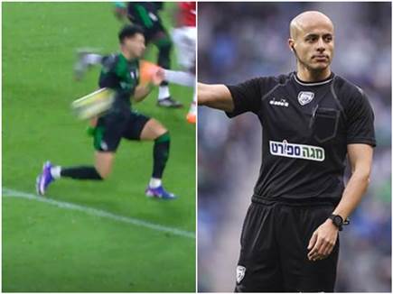 (אלן שיבר) (צילום: ספורט 5)