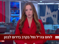 20hadarvenitzan_vtr2_n20260408_v1 (צילום: חדשות)