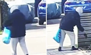 הגנבת המסתורית (צילום: BNPS)