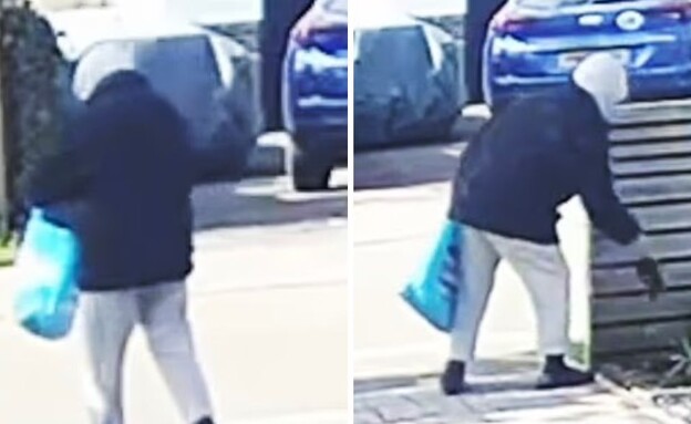 הגנבת המסתורית