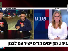 19guyvealmog_vtr2_n20260409_v1 (צילום: חדשות)
