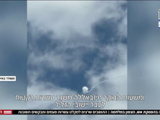 20varonvtr_vtr2_n20260409_v1 (צילום: חדשות)