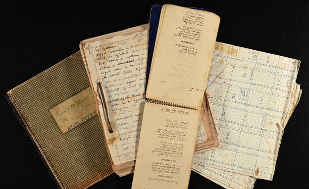 מאיר ועידית הירשפלד